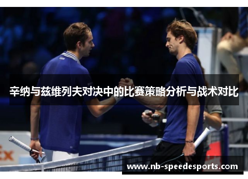 辛纳与兹维列夫对决中的比赛策略分析与战术对比