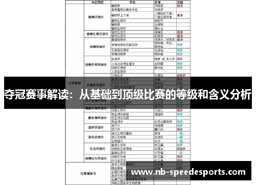 夺冠赛事解读：从基础到顶级比赛的等级和含义分析