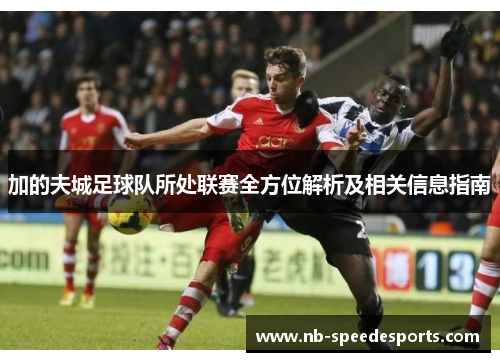 加的夫城足球队所处联赛全方位解析及相关信息指南 加的夫城足球队所处联赛全方位解析及相关信息指南